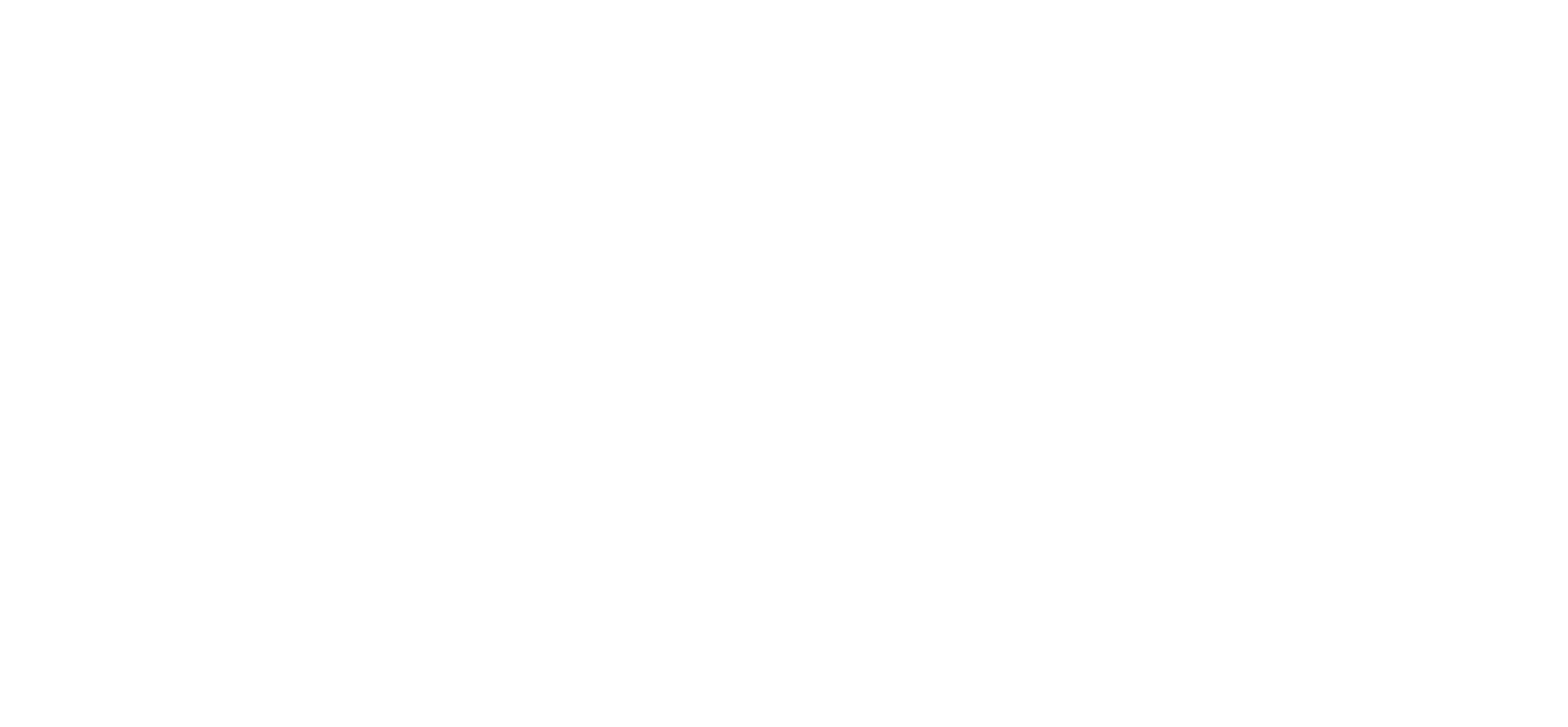 National Centre for Statistics and Information logo, dark